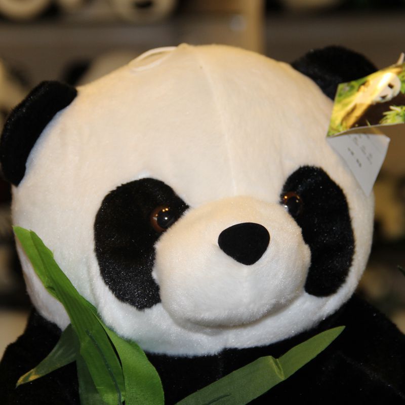 Panda, das Kuscheltier